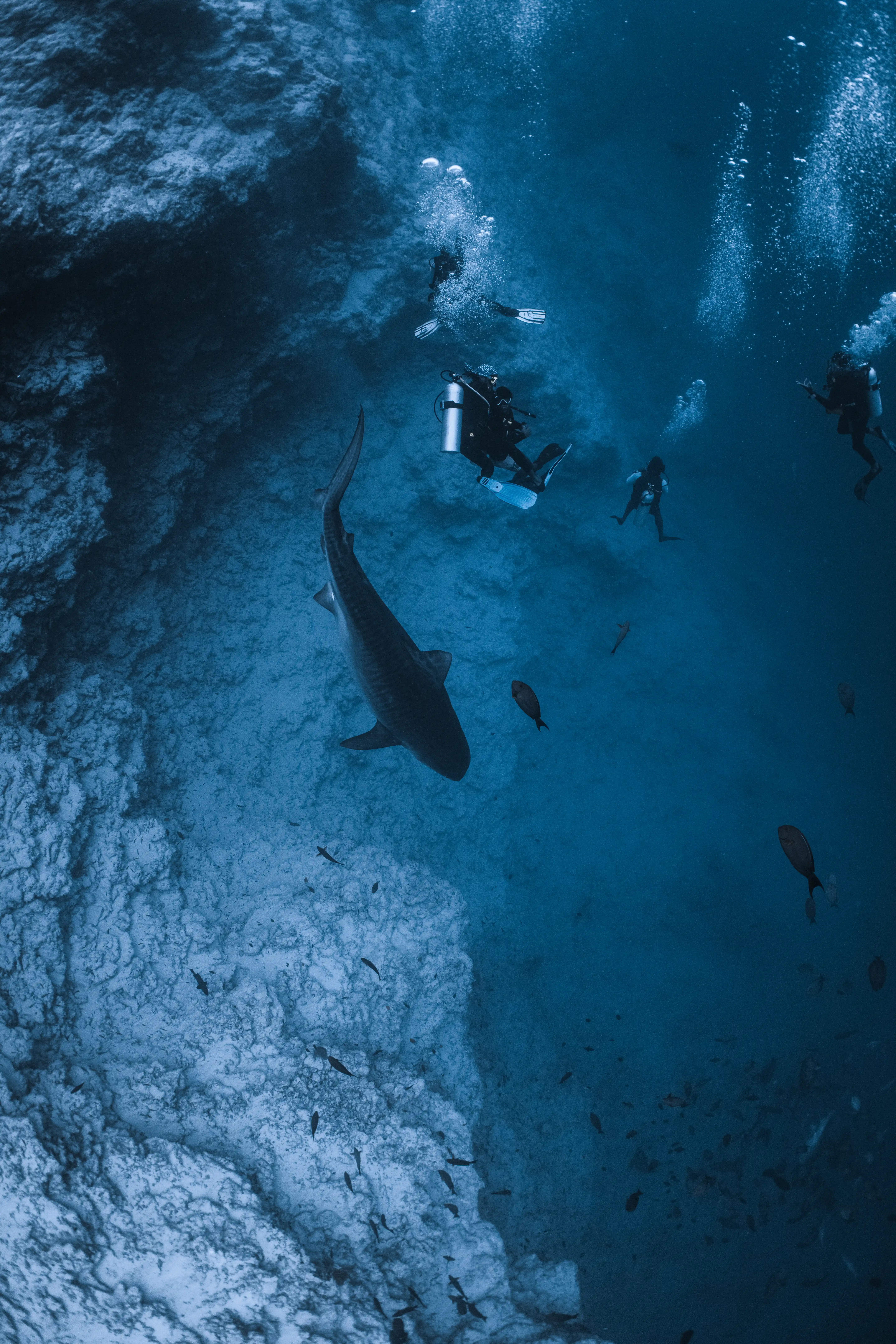 Afternoon calm — Tiger Harbour, Fuvahmulah underwater photography by Sina Ritter