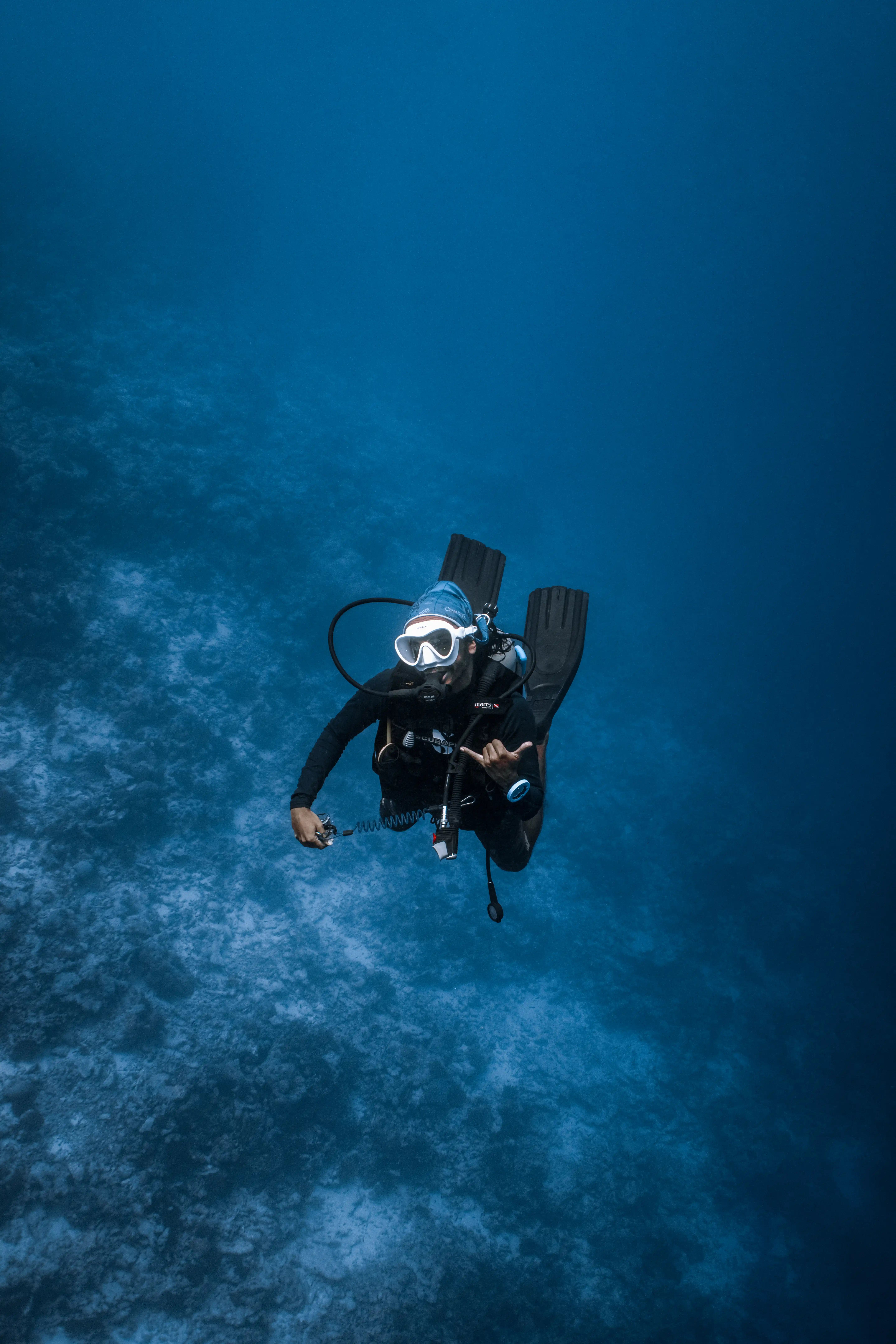 Portrait — Tiger Harbour, Fuvahmulah underwater photography by Sina Ritter